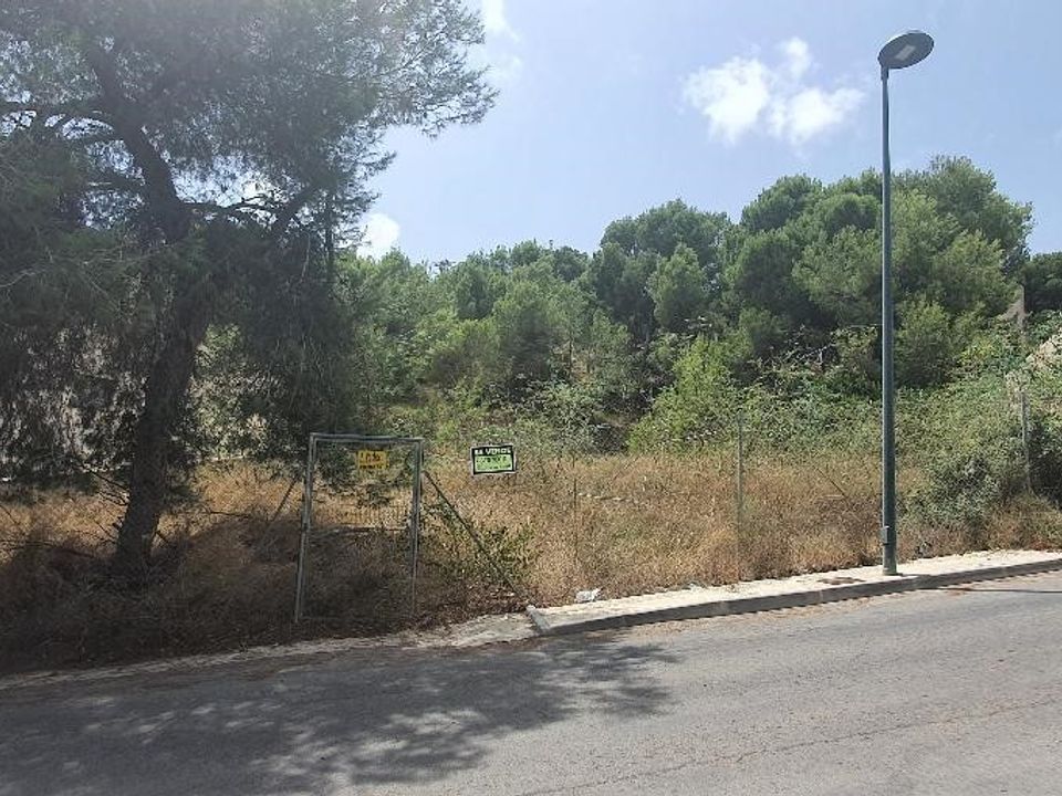 Helårsgrund i Pinar De Campoverde, Alicante - foto 2